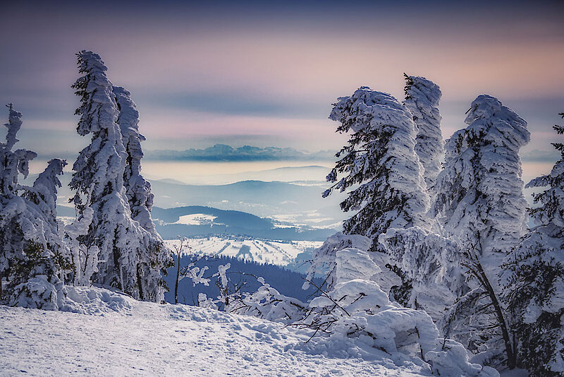 Winter Bergtouren im Bayerischen Wald